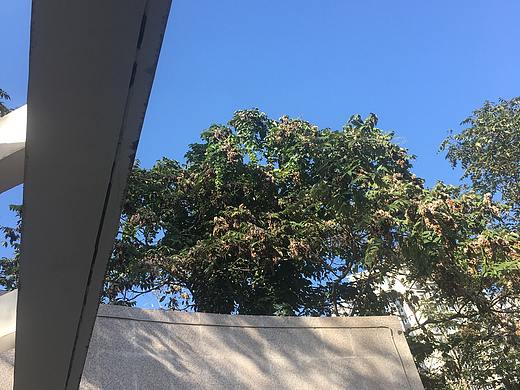 日常（個人主頁-ZNDE3MDY0NDQ=） - 其他 - 站酷設(shè)計師不走空原創(chuàng)素材 - 站酷ZCOOL