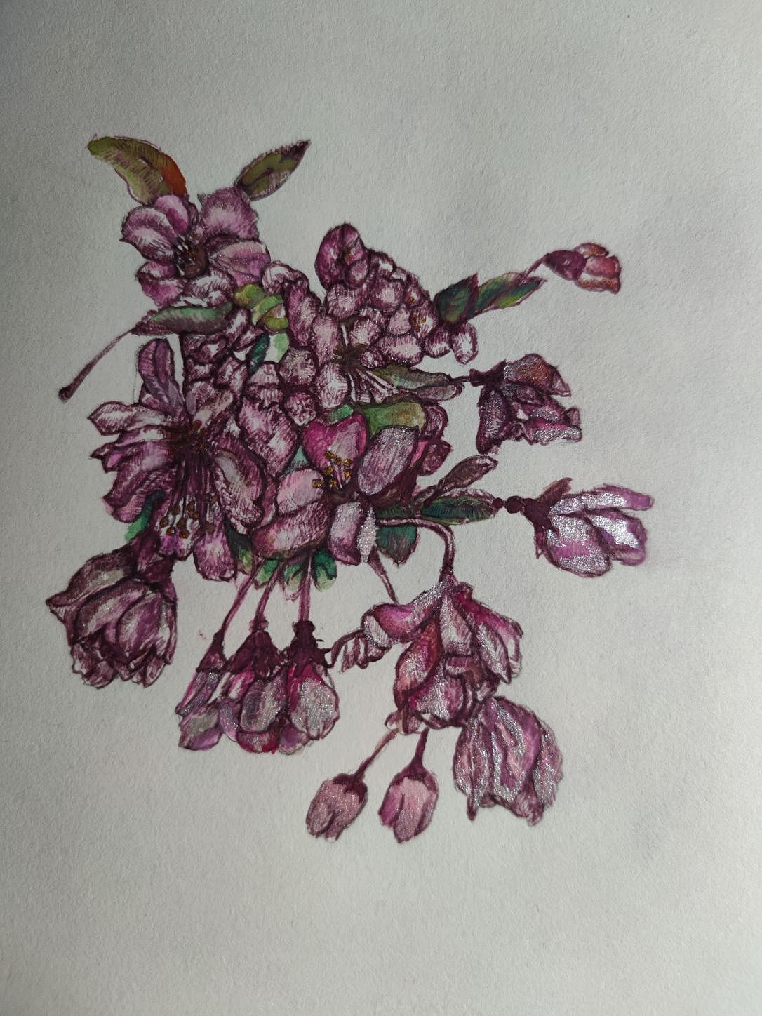 针管笔水彩原创&临摹（图ZMzU5NjIxMDg4） - 绘画 - 站酷设计师Ximuxuegu606原创素材 - 站酷ZCOOL