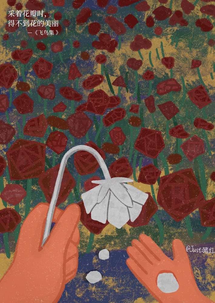 Just猪红的个人主页（背景预览） - 主页背景设置 - 站酷设计师Just猪红原创素材 - 站酷ZCOOL