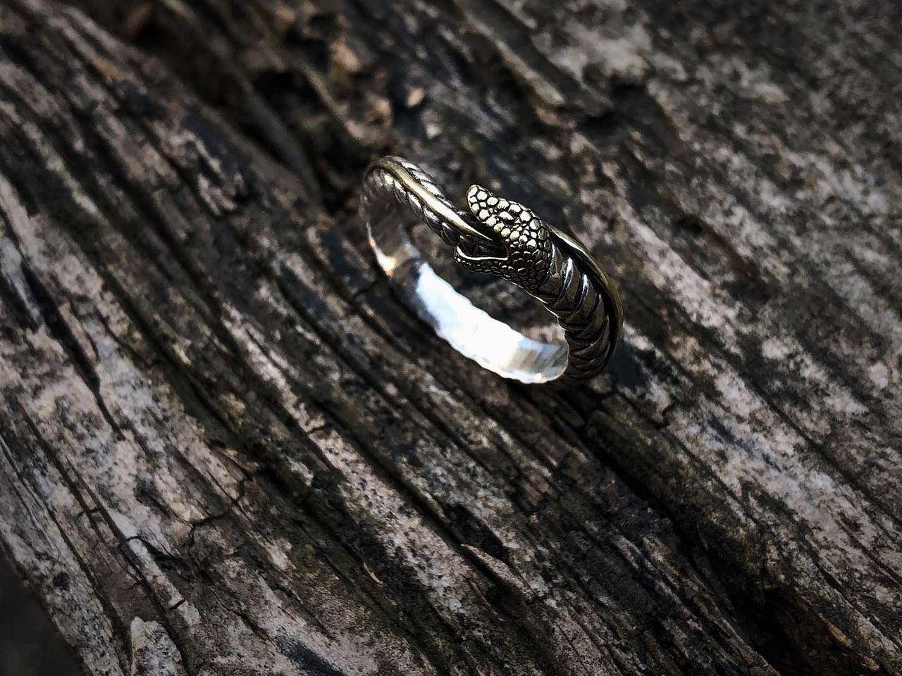 自我吞噬的无限循环:衔尾蛇戒指