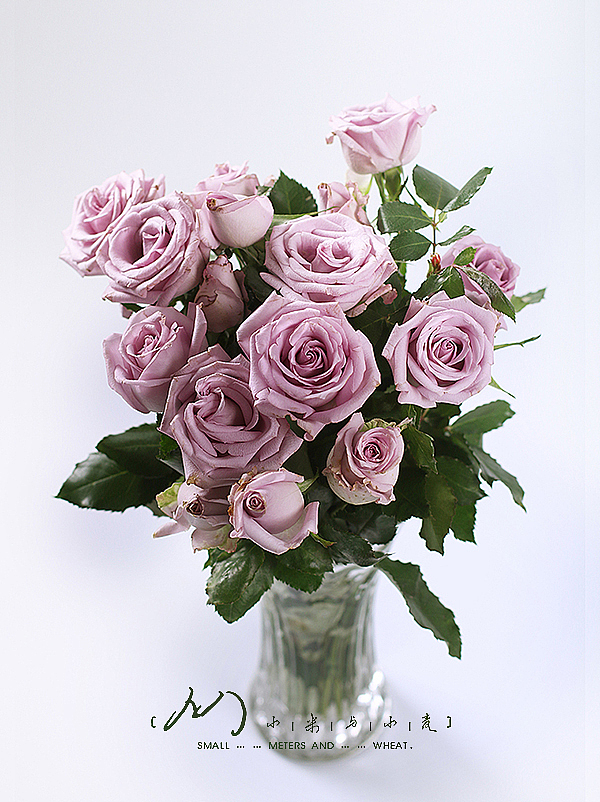 Flower-紫精灵（图ZOTc2MjE0NzY=） - 产品摄影 - 站酷设计师小米与小麦原创素材 - 站酷ZCOOL