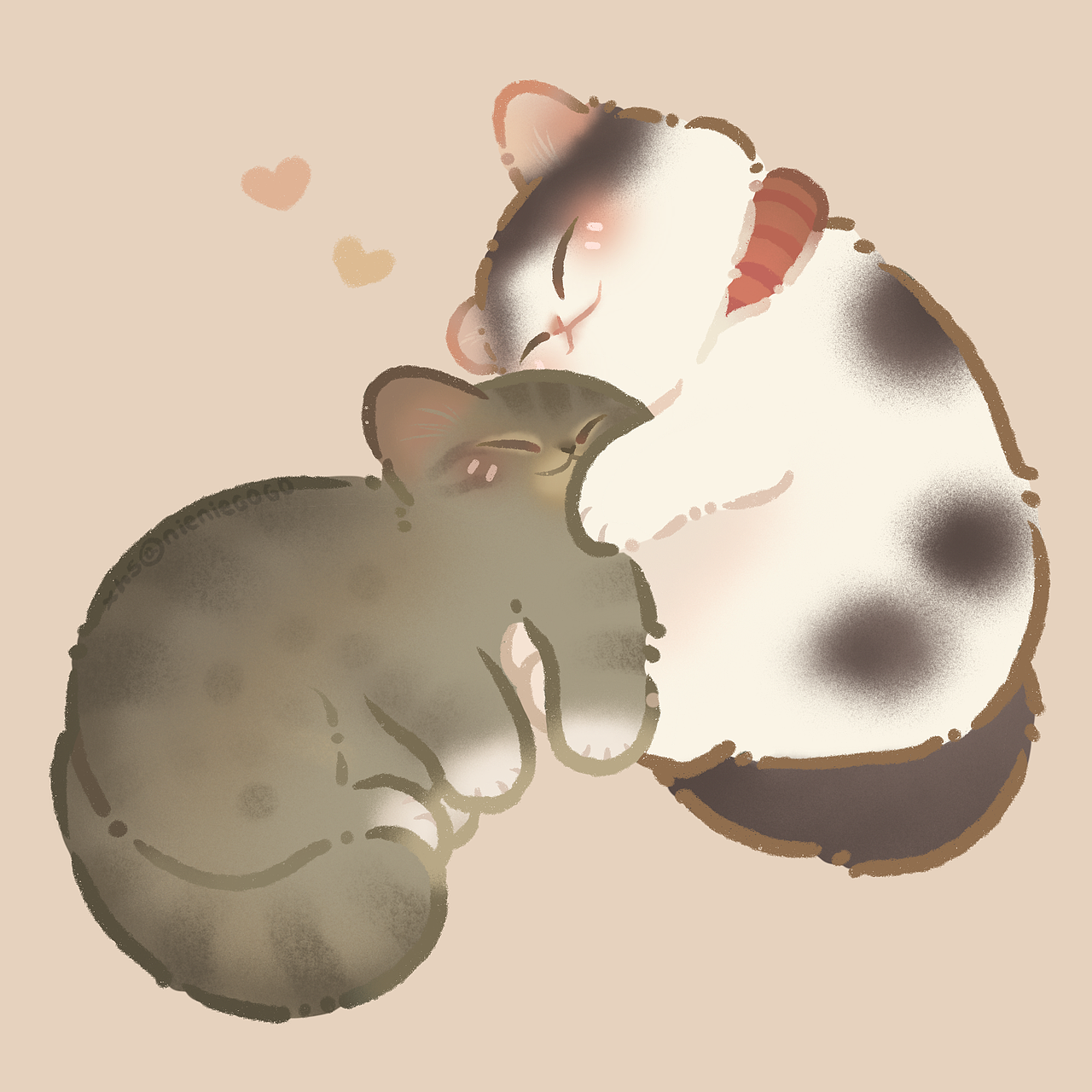 一波猫猫来袭