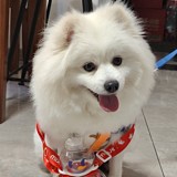 鲸晶的头像