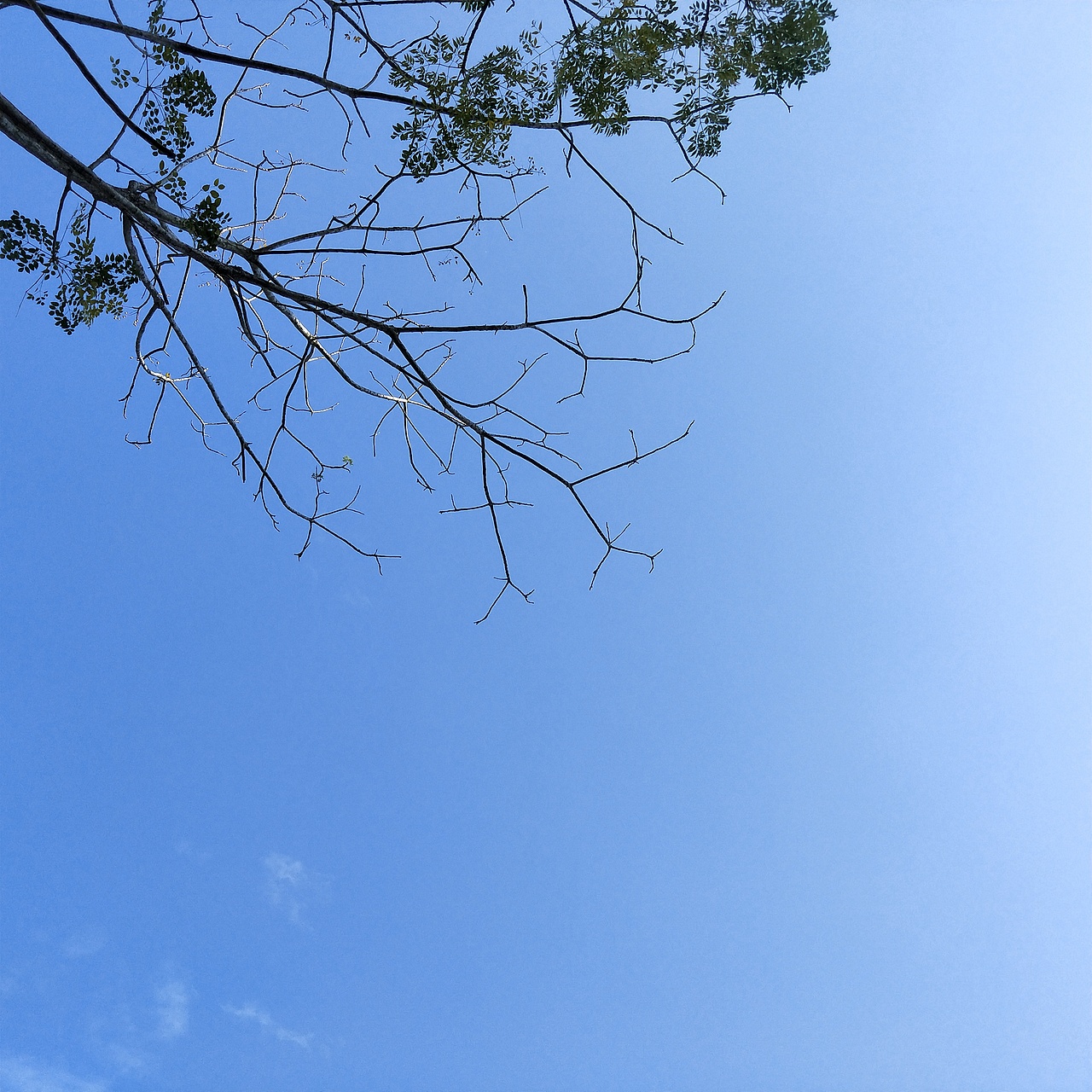 午秋🍂（图ZMTg0OTY2NTky） - 风光摄影 - 站酷设计师画画不白原创素材 - 站酷ZCOOL