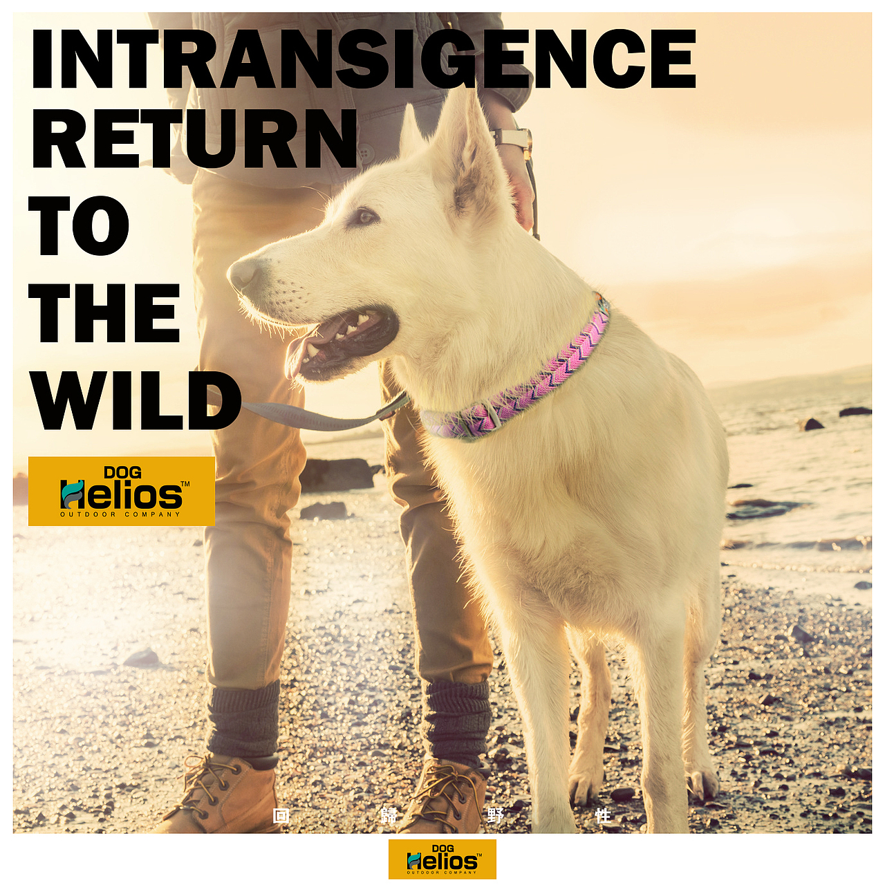 doghelios户外海报（图ZNDkwMTcxMTI=） - 电商 - 站酷设计师ARCHY1996原创素材 - 站酷ZCOOL