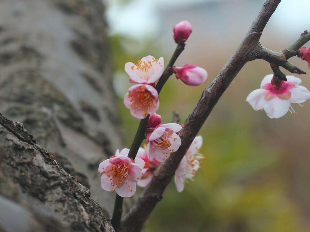 摄影（图ZMTk5NTQ0NDY0） - 风光摄影 - 站酷设计师方尽一原创素材 - 站酷ZCOOL