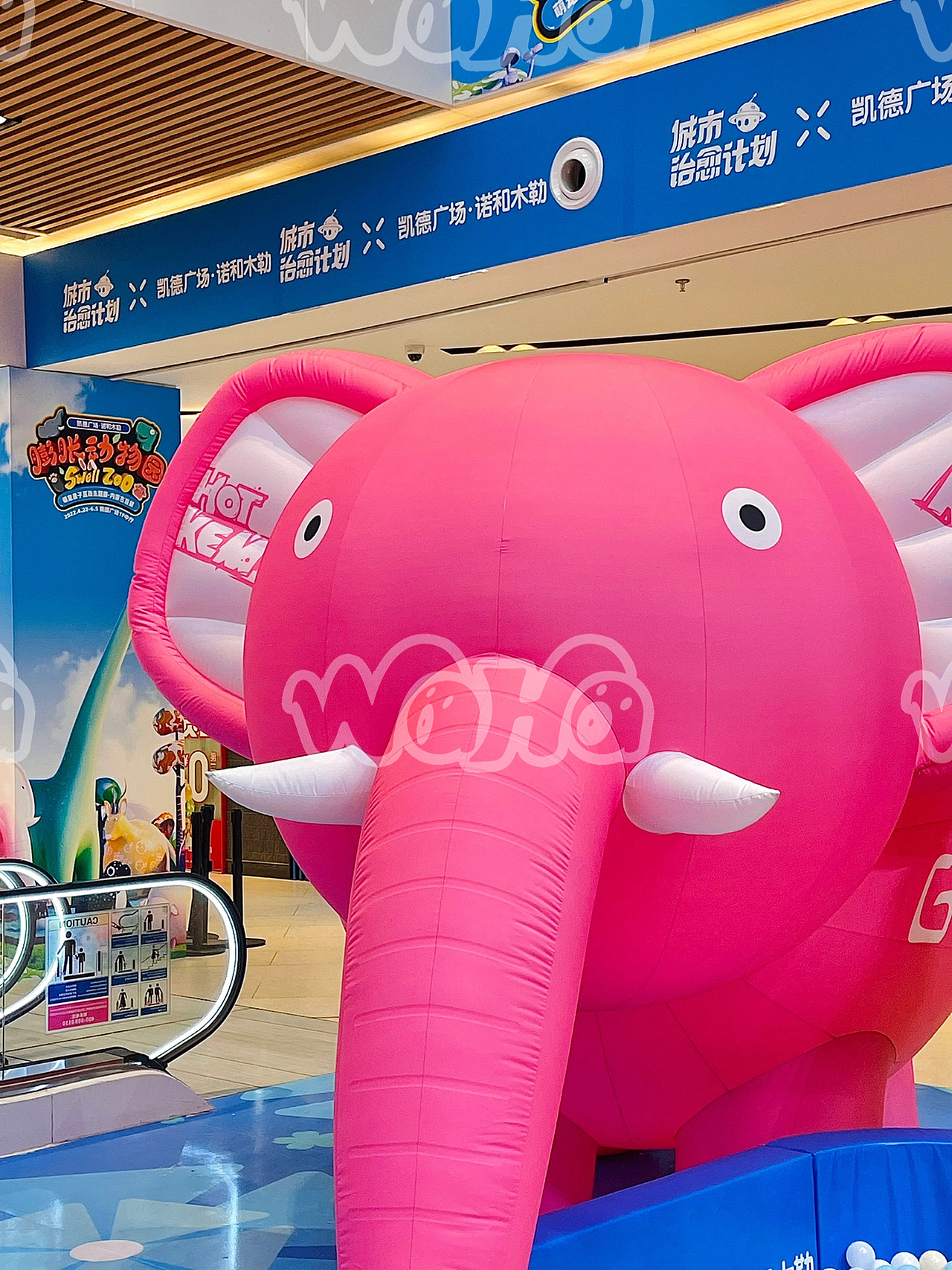 呼和浩特凯德胖胖动物园