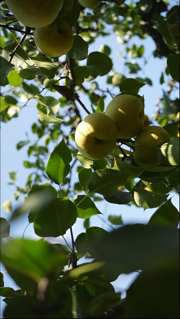 在公司拍摄的部分产品摄影以及剧情摄影拍摄