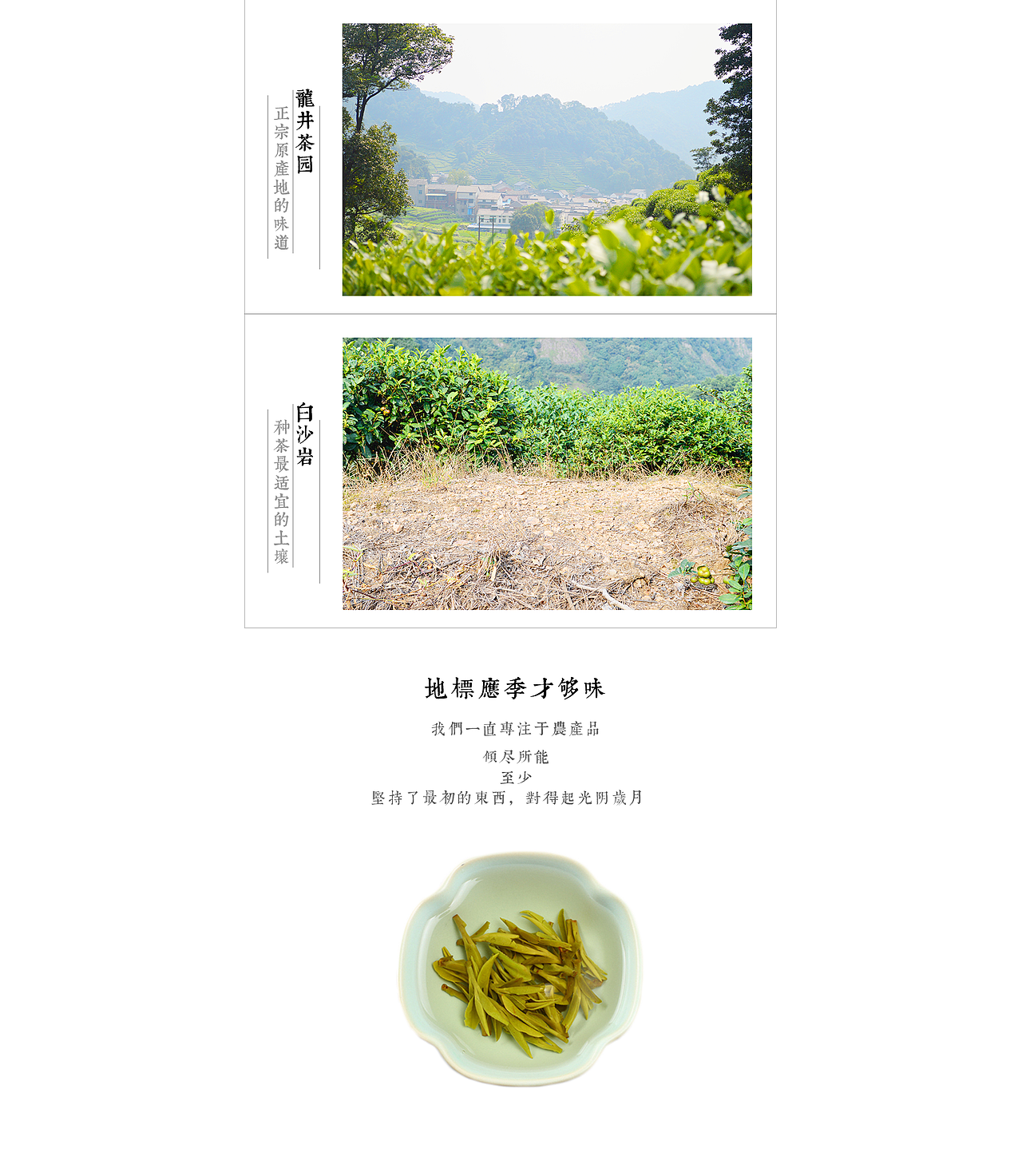 龙井茶详情页