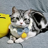 LINX_MOTION的头像