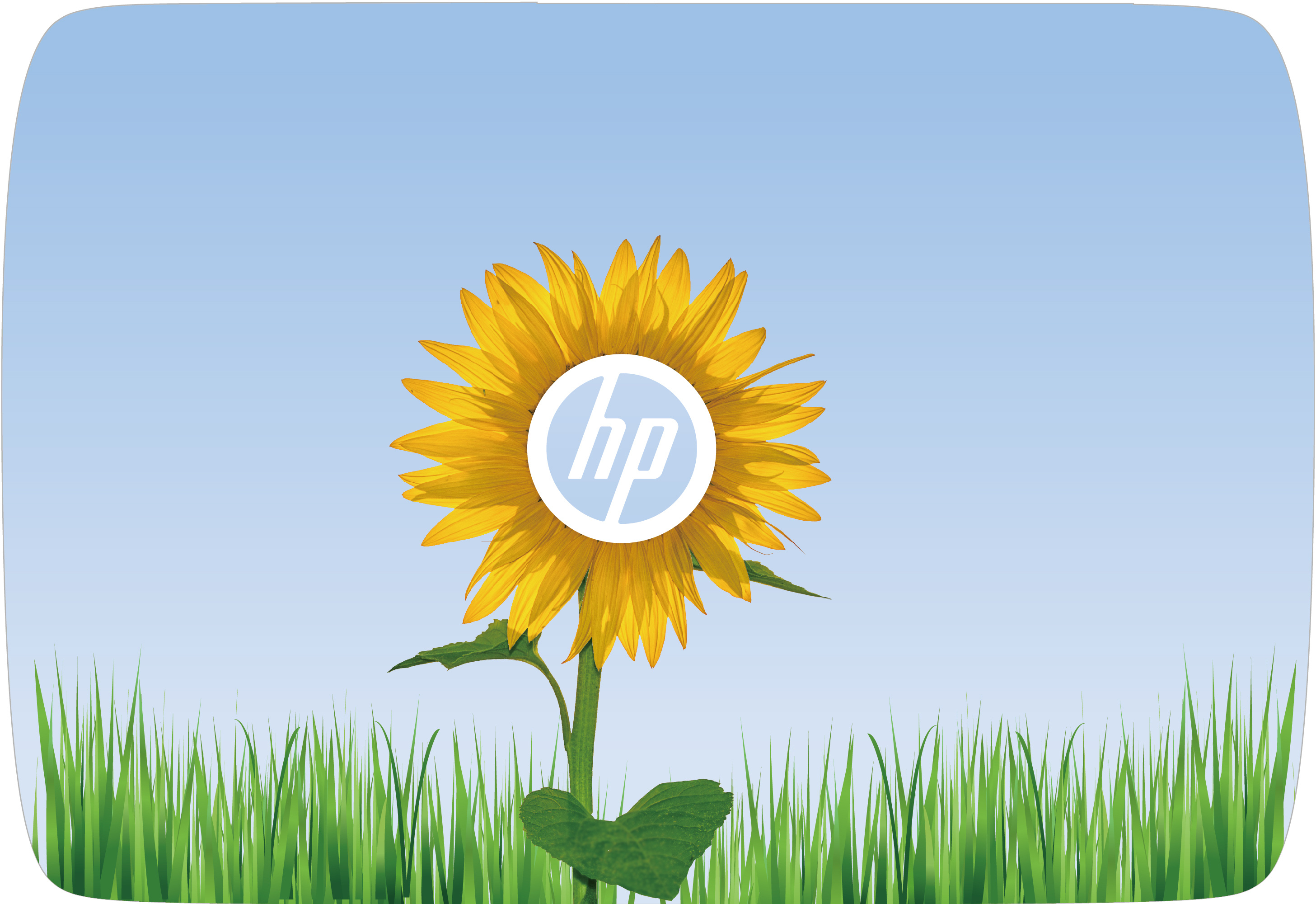 苹果草莓香蕉梨,惠普都能代替