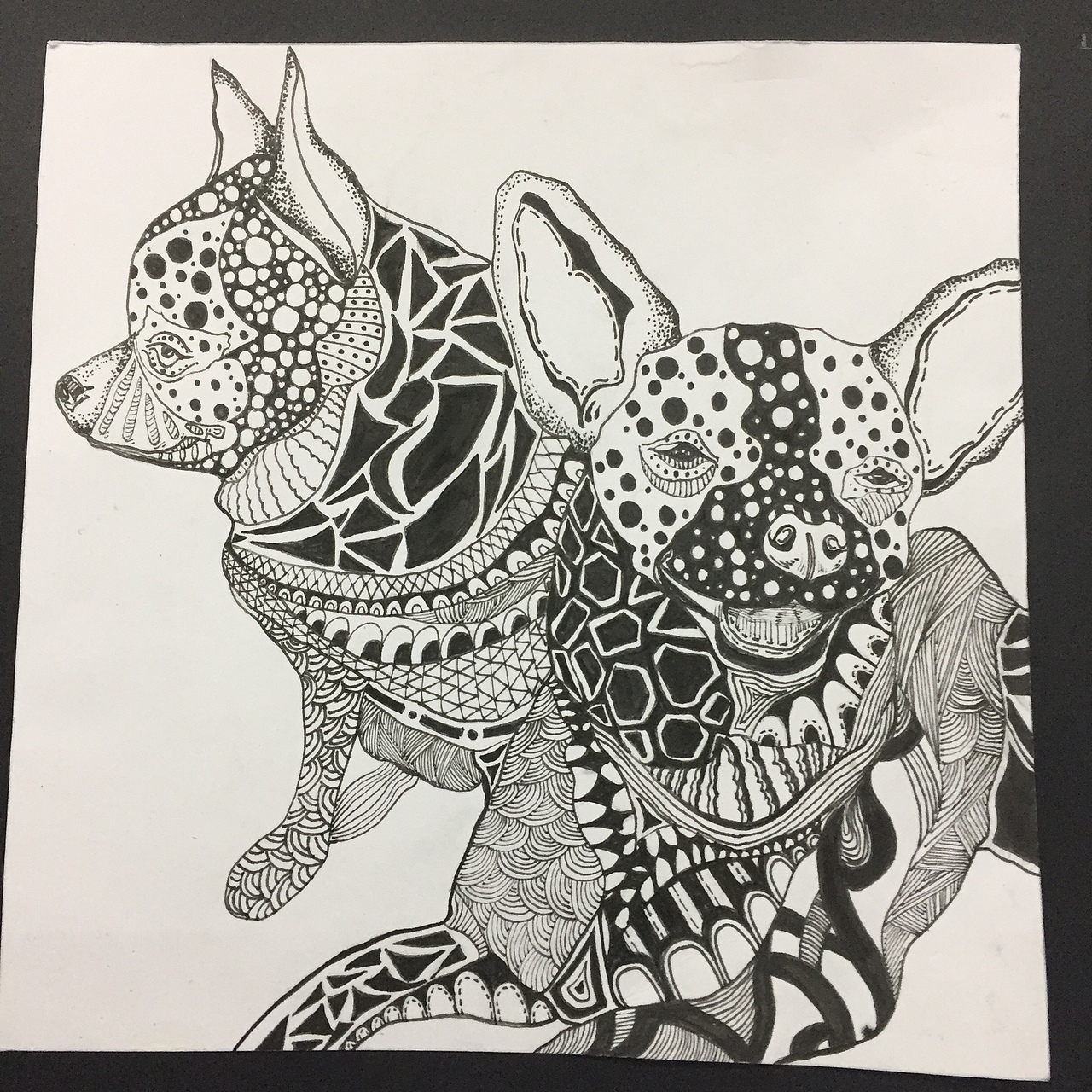 DOG（图ZMjk2MjAwMTM2） - 商业插画 - 站酷设计师神秘嘉宾0原创素材 - 站酷ZCOOL