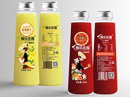 PET飲料瓶包裝設(shè)計(jì)