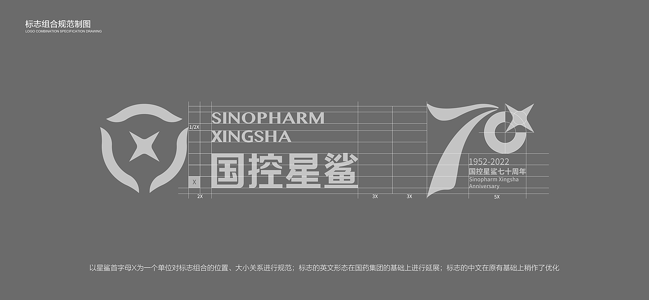 国控星鲨LOGO设计-凭星而来，鲨耀新生