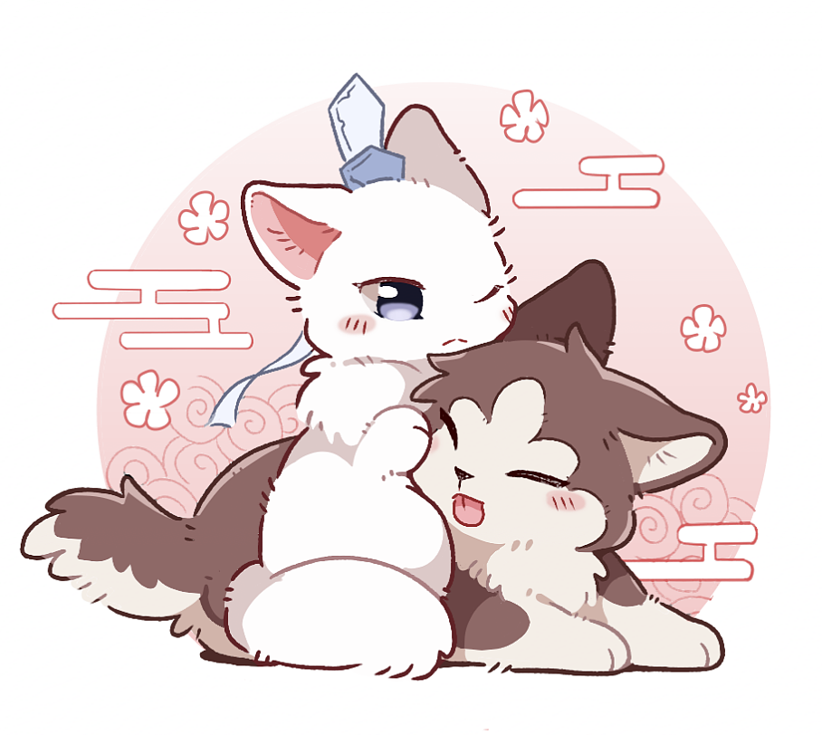 二哈和他的白猫师尊