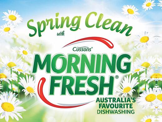 Morning Fresh洗洁精Presentation