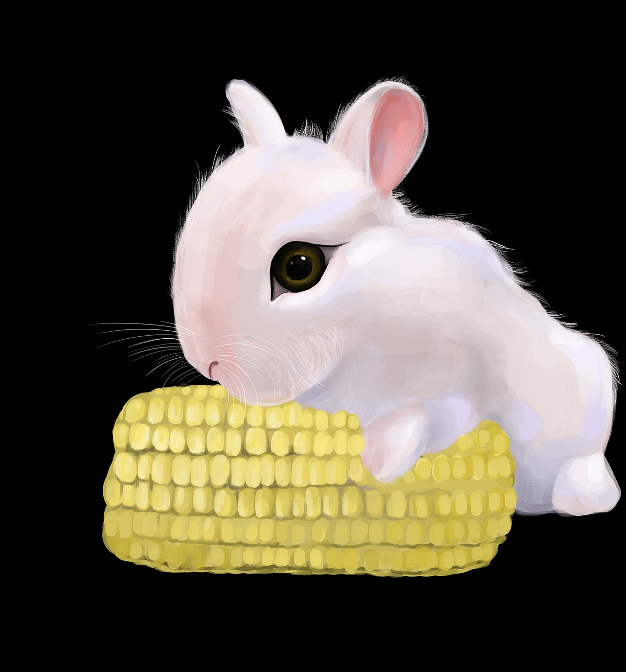 啃玉米的小兔子