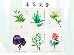 植物/本草每日一練2