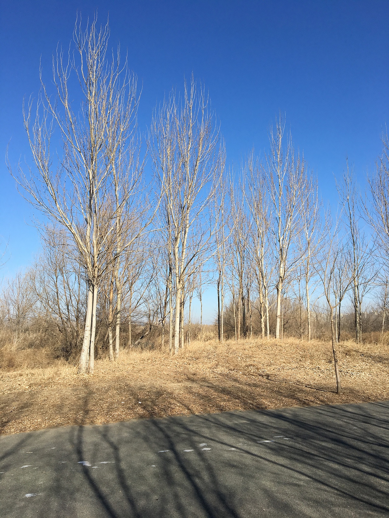 休闲（图ZMTk0ODk0Nzcy） - 风光摄影 - 站酷设计师Ourlandisrichinb原创素材 - 站酷ZCOOL