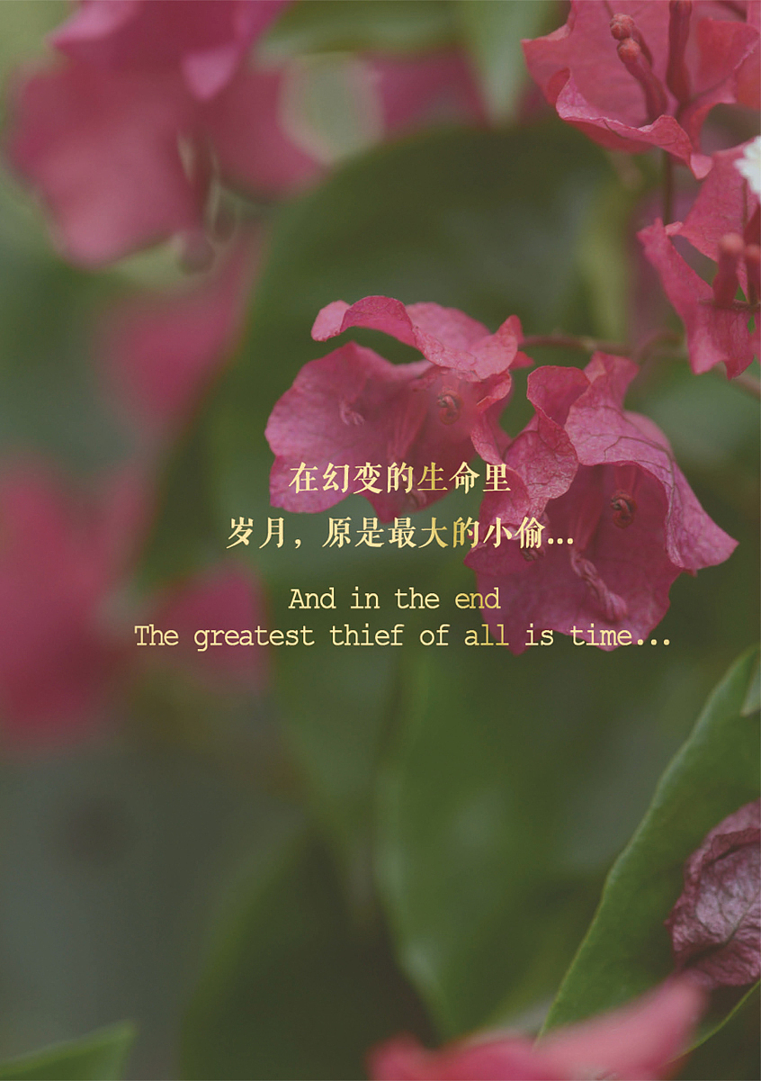 影味—茶（图ZMTAwODcwNDMy） - 书籍/画册 - 站酷设计师我是小蓝原创素材 - 站酷ZCOOL