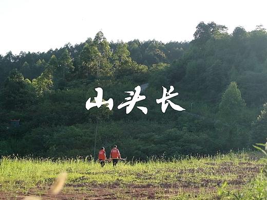 森林防火宣传片