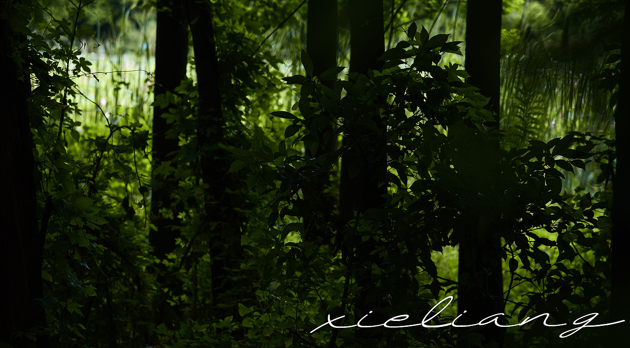 清新夏日（图ZMjU3NzExNTk2） - 风光摄影 - 站酷设计师谢小小小亮原创素材 - 站酷ZCOOL