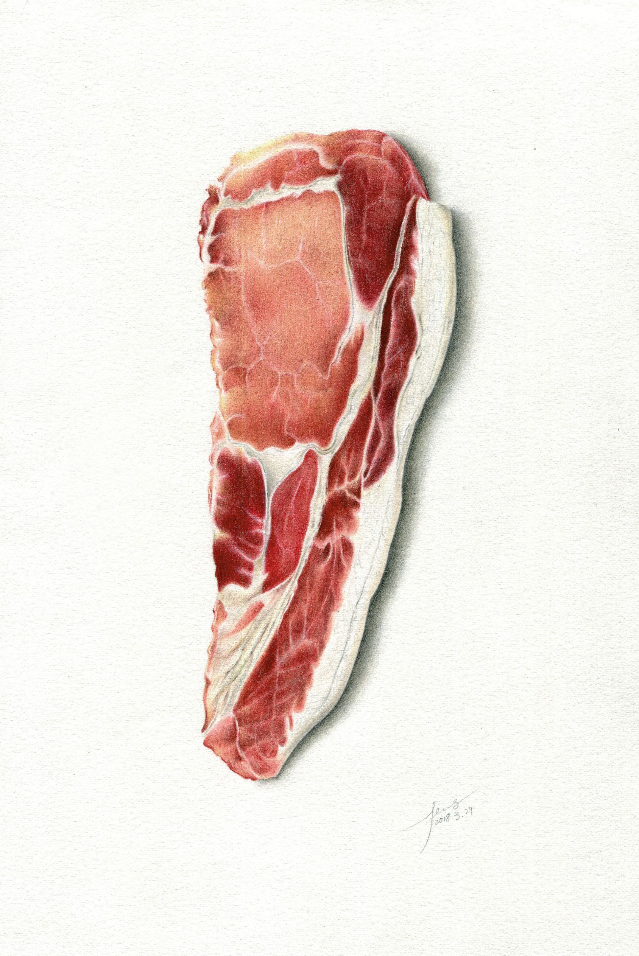 彩铅插画—肉