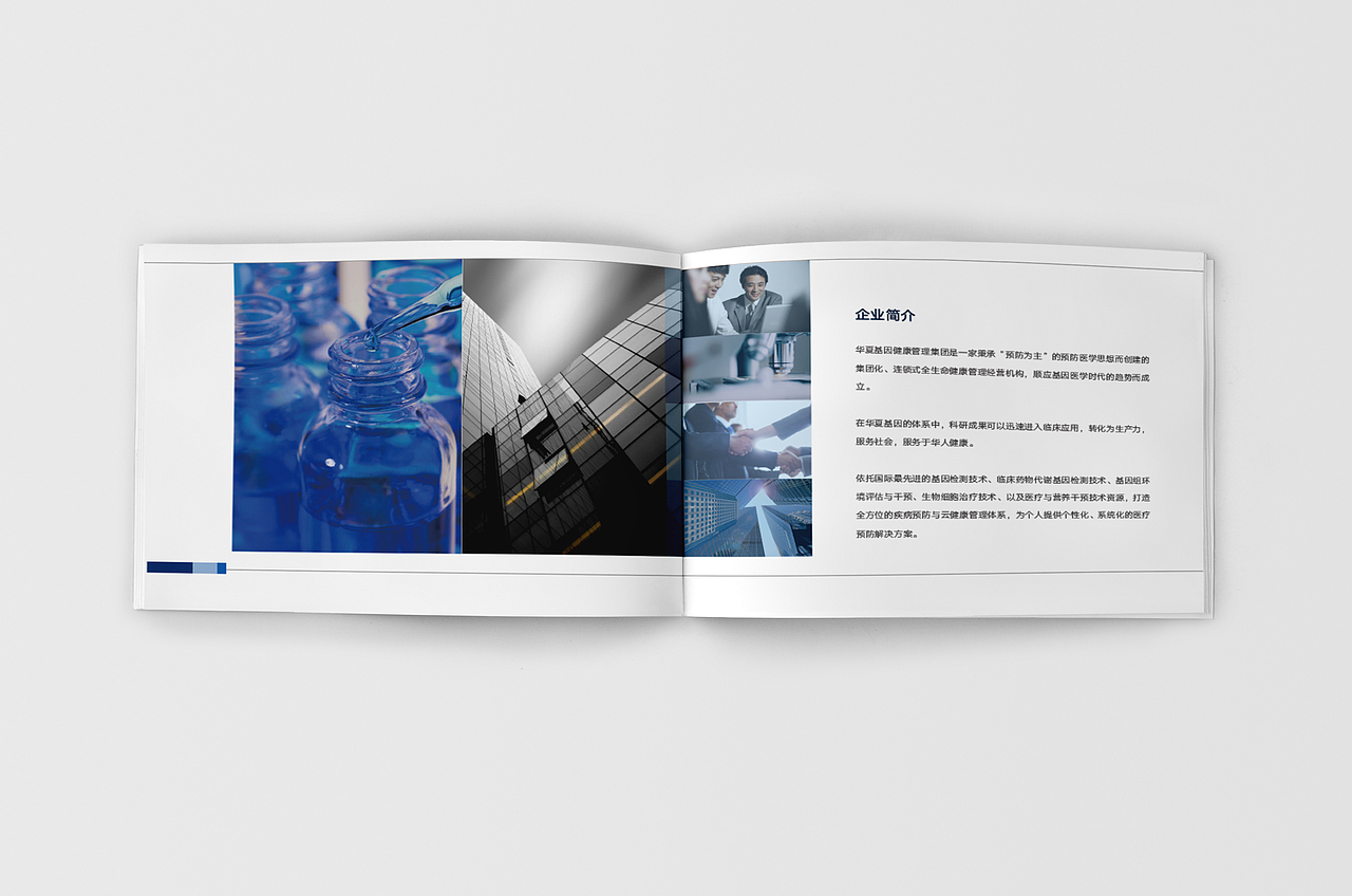 华夏基因企业画册