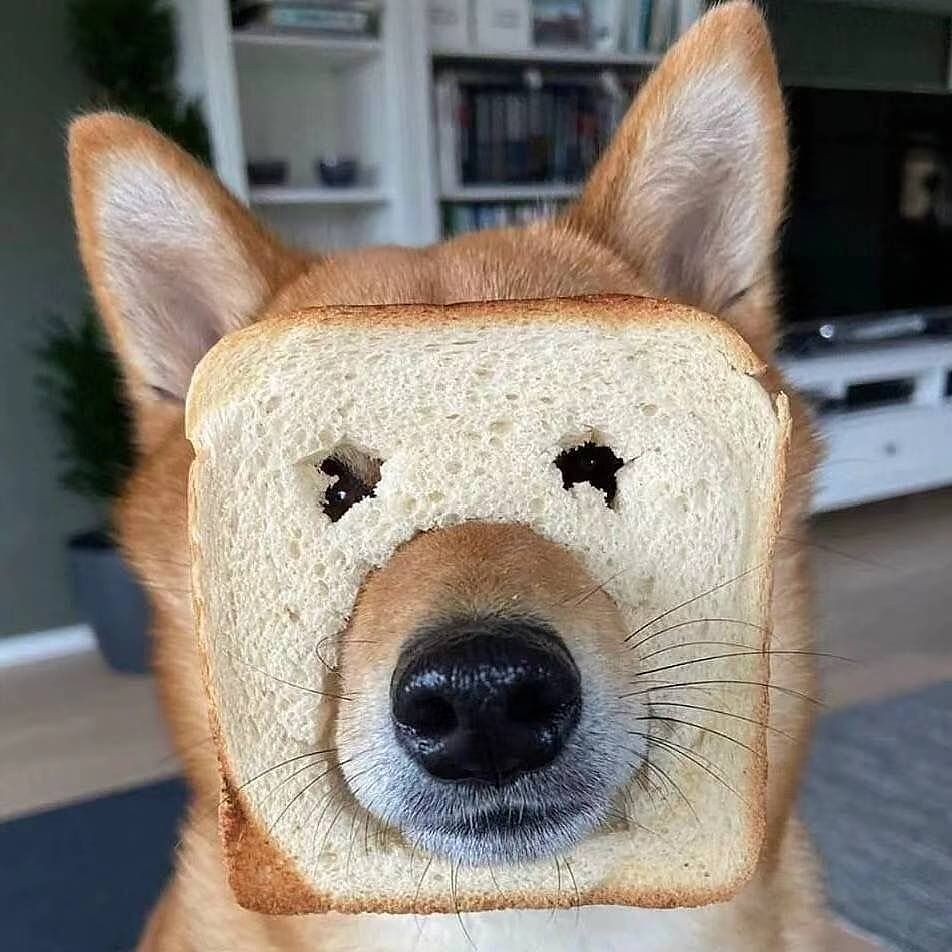 虛幻4場景（圖ZMjE4NTczMTEy） - 場景 - 站酷設(shè)計(jì)師Jyugo丿暗原創(chuàng)素材 - 站酷ZCOOL