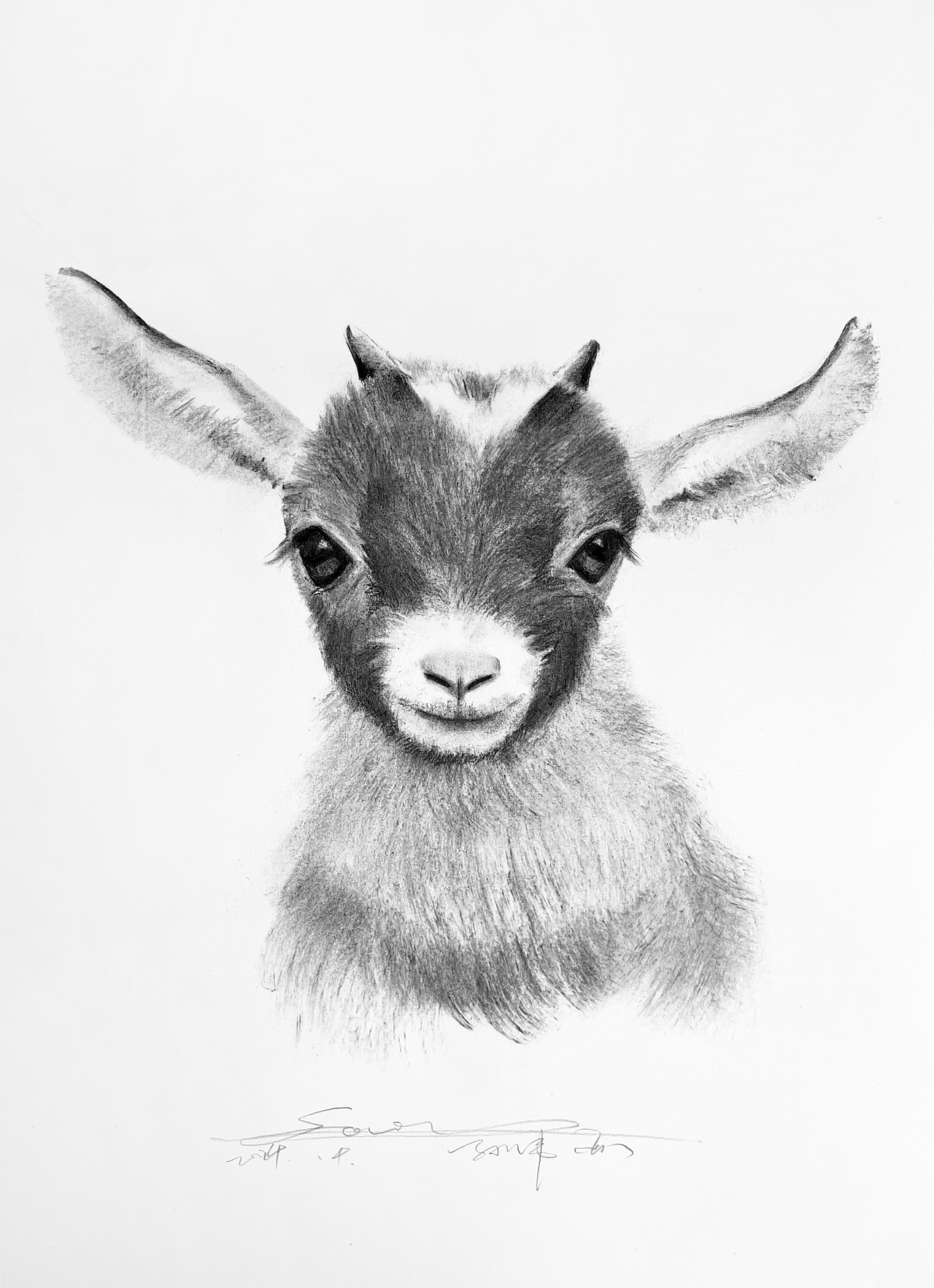 黑白插画也可以很好看不是吗？