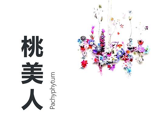 花店价目表小卡片设计