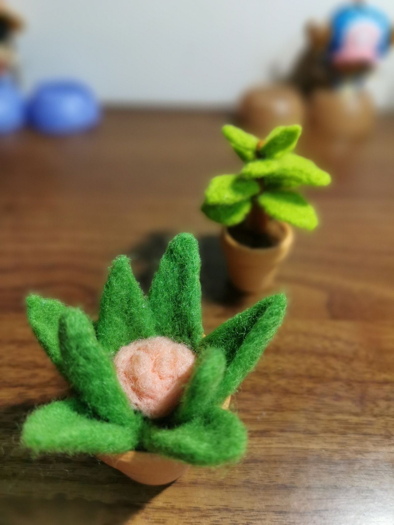 羊毛毡盆栽绿植