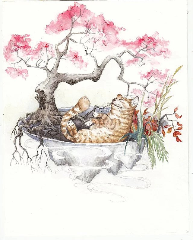 最近的一些手绘