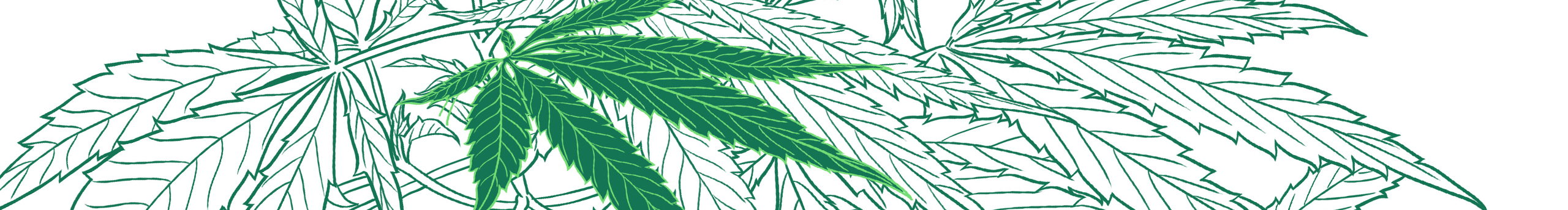 花童K的个人主页（封面预览） - 主页封面设置 - 站酷设计师花童K原创素材 - 站酷ZCOOL