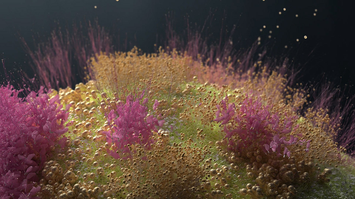 “万物初始”- 德勤品牌宣传片（图ZMTkxNzI2NjAw） - Motion Graphic - 站酷设计师Onesal工作室原创素材 - 站酷ZCOOL