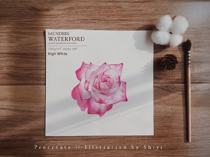 iPad水彩插画 | 花朵合集1