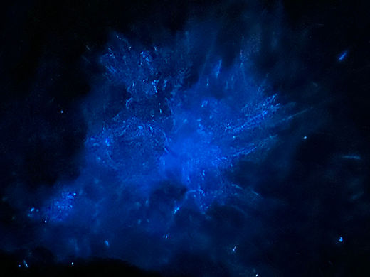 烂漫之极的荧光海/花鸟岛追蓝眼泪攻略