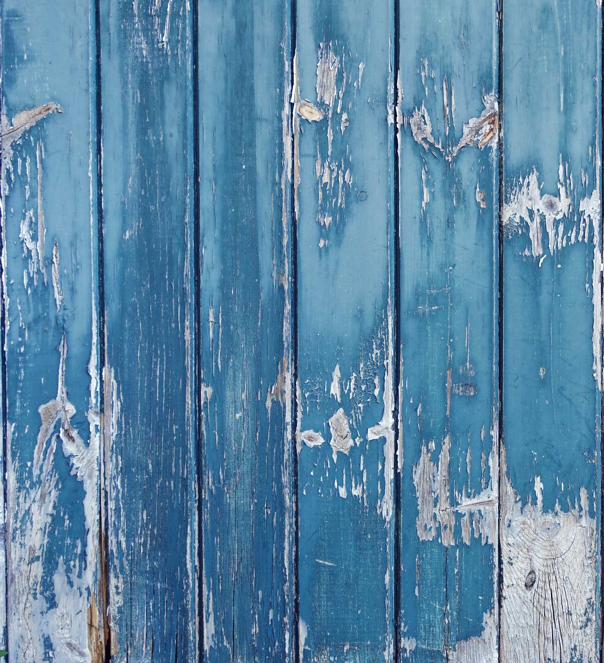 BIUBIUYOUNG的个人主页（背景预览） - 主页背景设置 - 站酷设计师BIUBIUYOUNG原创素材 - 站酷ZCOOL