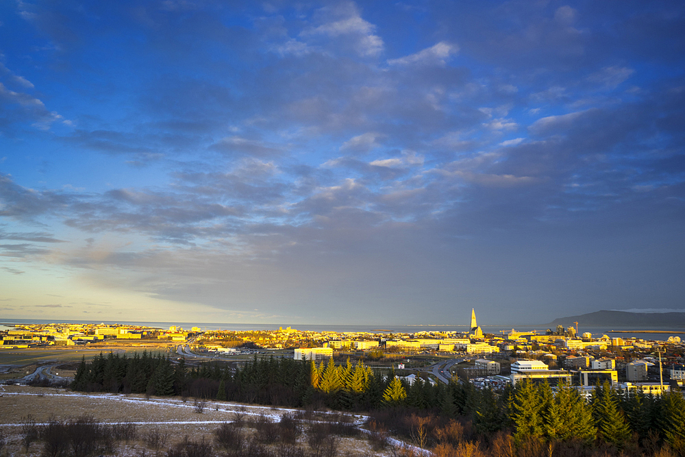 金色阳光下的雷克雅未克