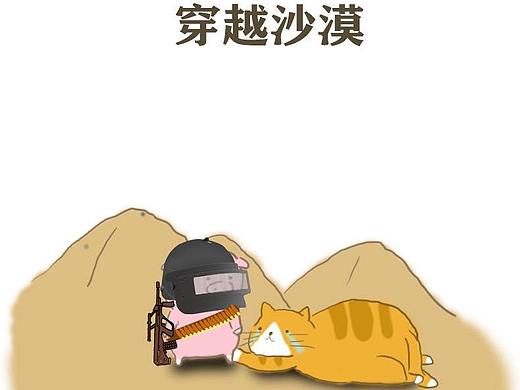 小菊画画之旅 后续
