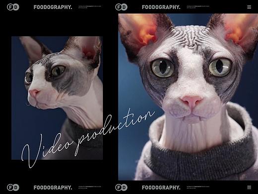 电商视频 | 万物一口 ✖ foodography