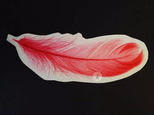 彩铅羽毛教学步骤 | 简单易学