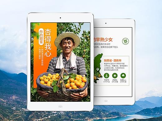 天猫水果杏子详情页