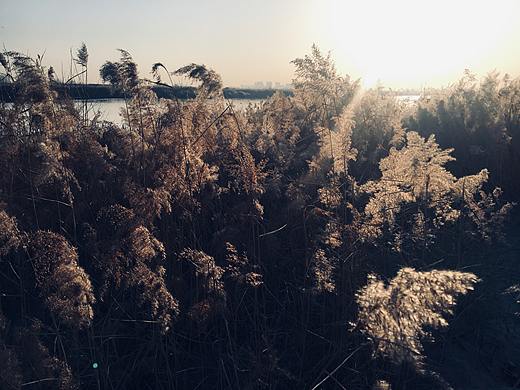 经渭分明冬日摄影作品