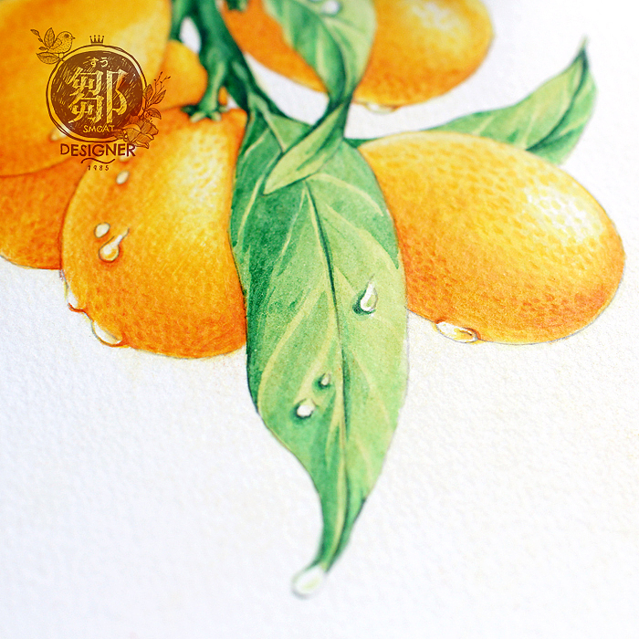 果恋系列-金桔|插画|商业插画|邹猫 - 原创作品 - 站酷 (zcool)