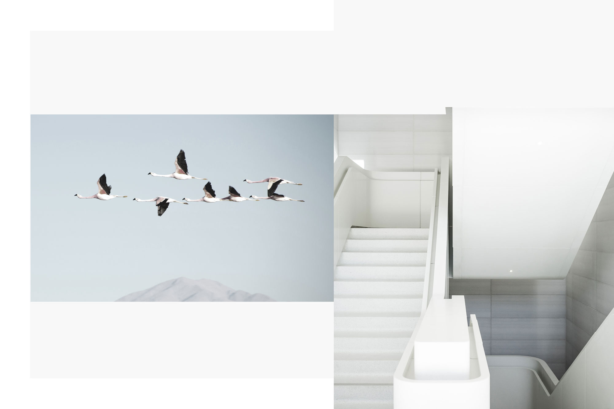 JoiZ的个人主页（背景预览） - 主页背景设置 - 站酷设计师JoiZ原创素材 - 站酷ZCOOL