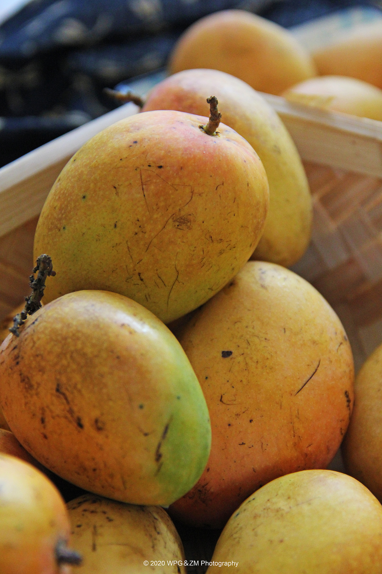 《 HELLO · JULY 》