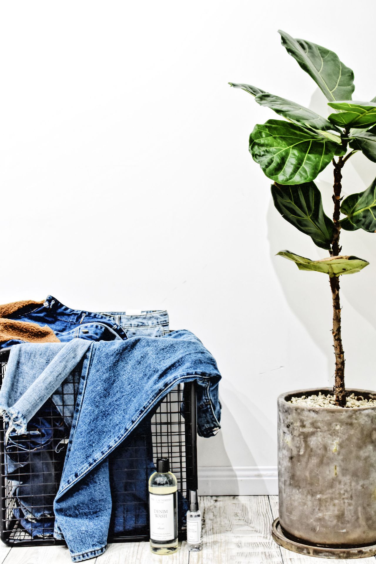 遇见丹宁（图ZOTY1MzEwMDA=） - 时尚/艺术摄影 - 站酷设计师振业策划原创素材 - 站酷ZCOOL