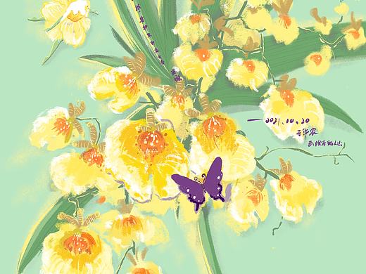 兰花（个人主页-ZNTU4OTE2ODQ=） - 创作习作 - 站酷设计师画绘本的lili原创素材 - 站酷ZCOOL