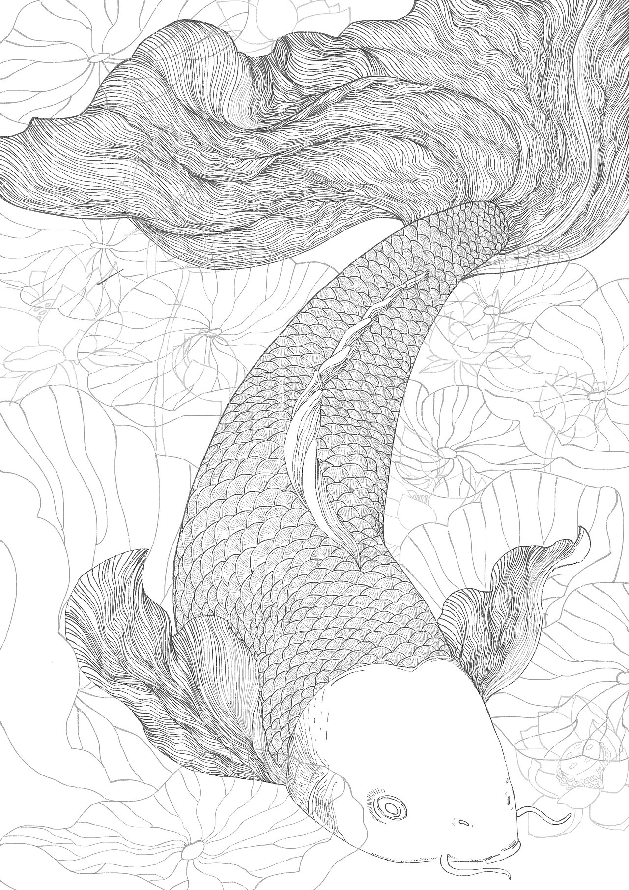 锦鲤（图ZMTQ1MTg0Nzky） - 艺术插画 - 站酷设计师orangec_S原创素材 - 站酷ZCOOL